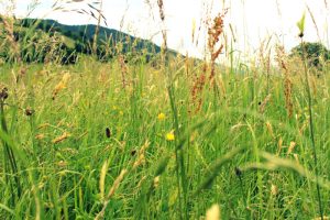 Langeweile und kein Geld ? 5 günstige Tipps für die Sommerferien