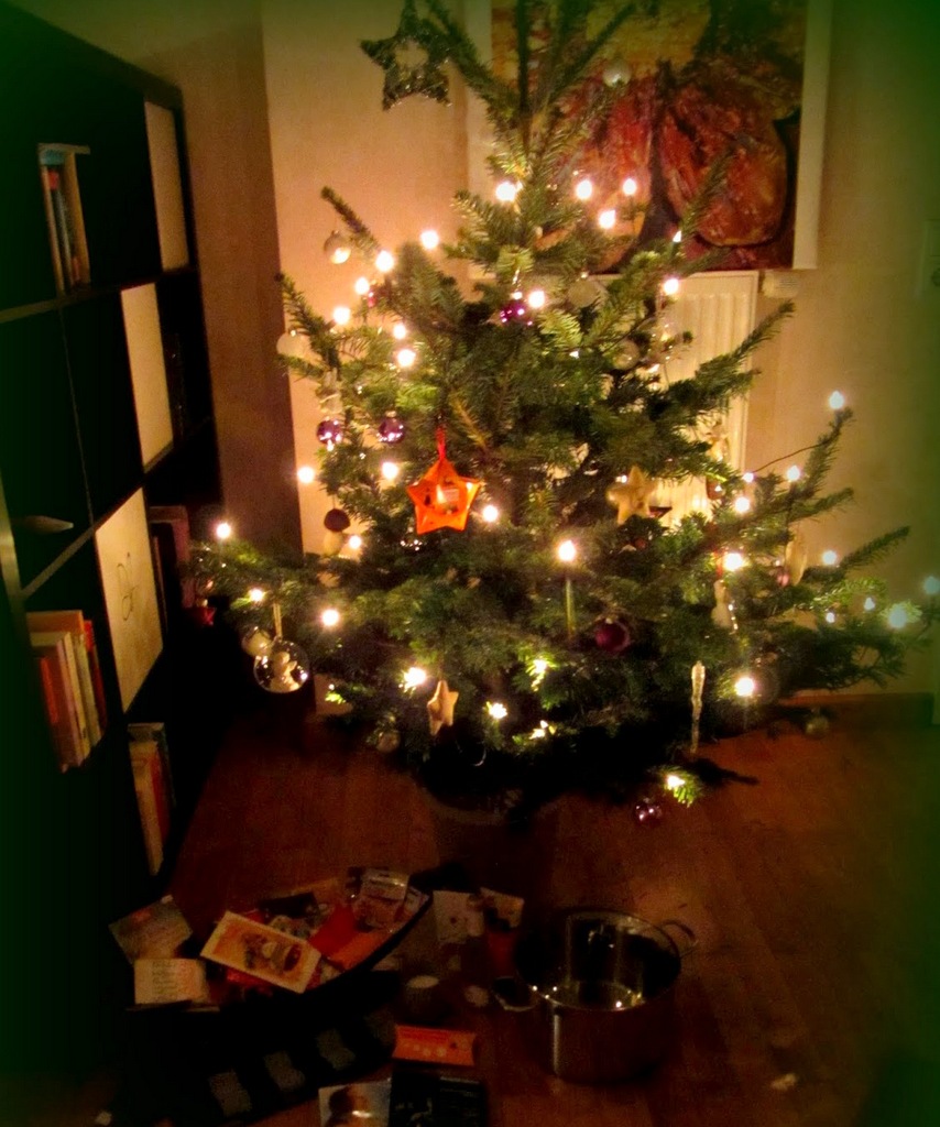 ein weihnachtsbaum auf reise ein erfahrungsbericht ein weihnachtsbaum auf reise ein erfahrungsbericht