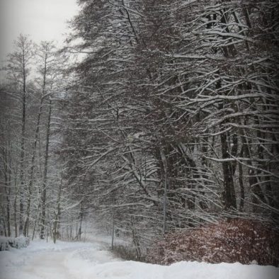 Ein Mädels-Wochenende im Bad Sachsa: Walking in a Winterwonderland