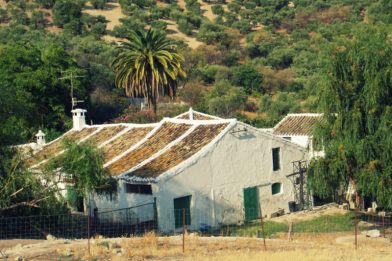 Ein Single-Urlaub in Andalusien: Meine Erfahrungen mit Adamare