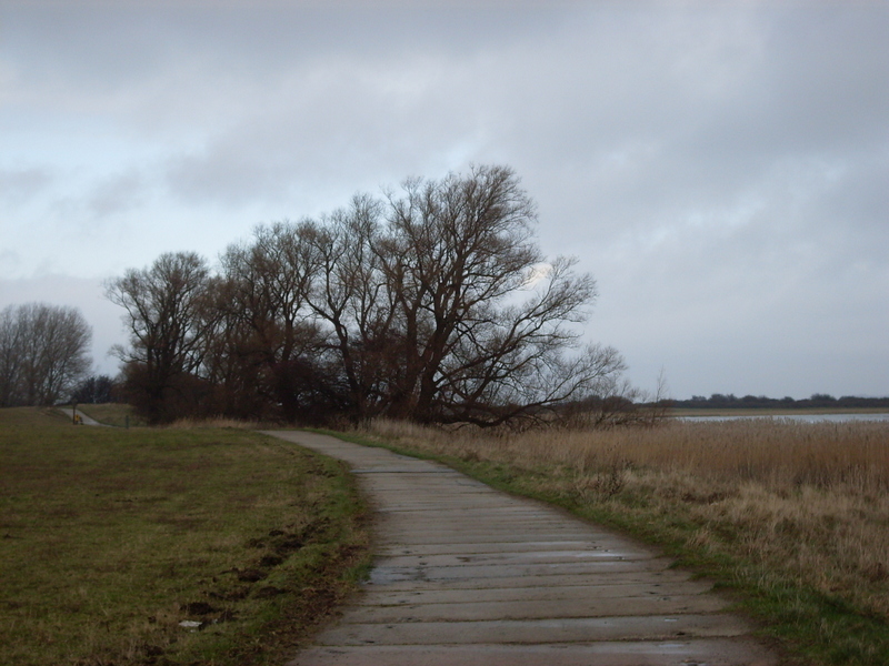 Hiddensee - Von Ruhe, der Milchstrasse und zwei Leuchtürmen Hiddensee