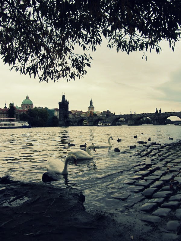 Prag erleben: Kurzreise in die tschechische Hauptstadt