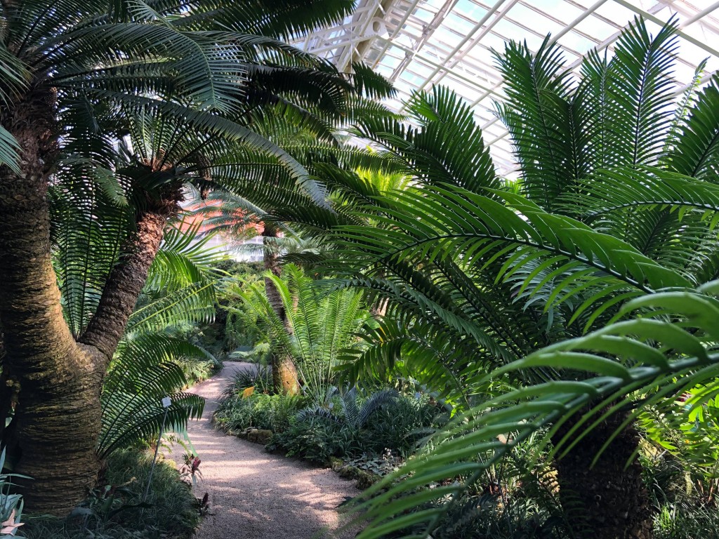 Botanische Garten Mit Gewachshausern In Deutschland Eine Ubersicht
