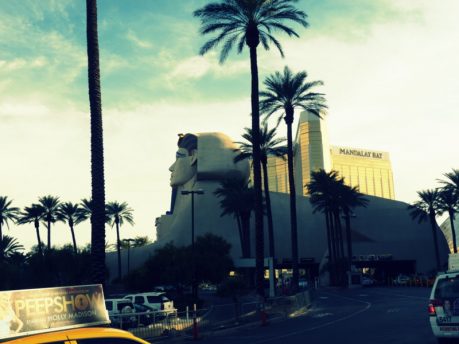 Ich – Halli Galli – Las Vegas ! Oder wie ich dem Glückspiel verfiel – Teil 2