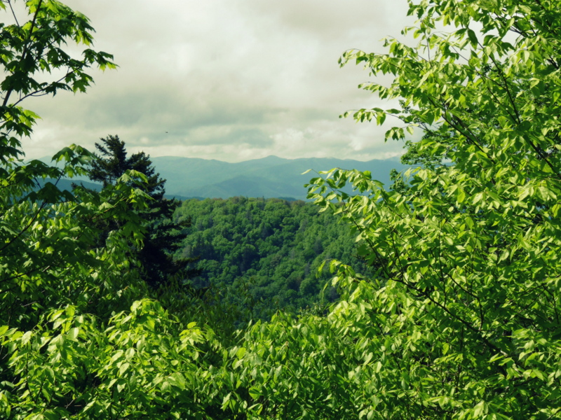 Probewandern auf dem Appalachian Trail und andere Erlebnisse im Great Smoky Mountains National Park