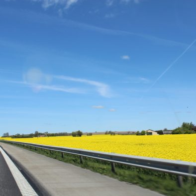Kurz-Roadtrip durch Süd-Schweden von Malmö nach Ålshult