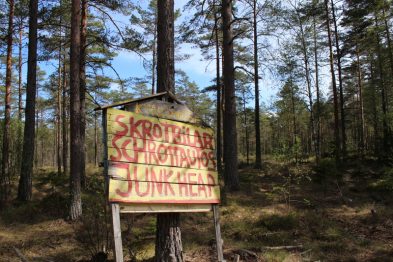 Der Autofriedhof Kyrkö Mosse im schwedischen Ryd - Zeitreise in Smaland, Schweden