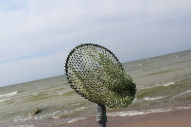 Bernstein fischen leicht gemacht - auf der Jagd nach dem Gold der Ostsee