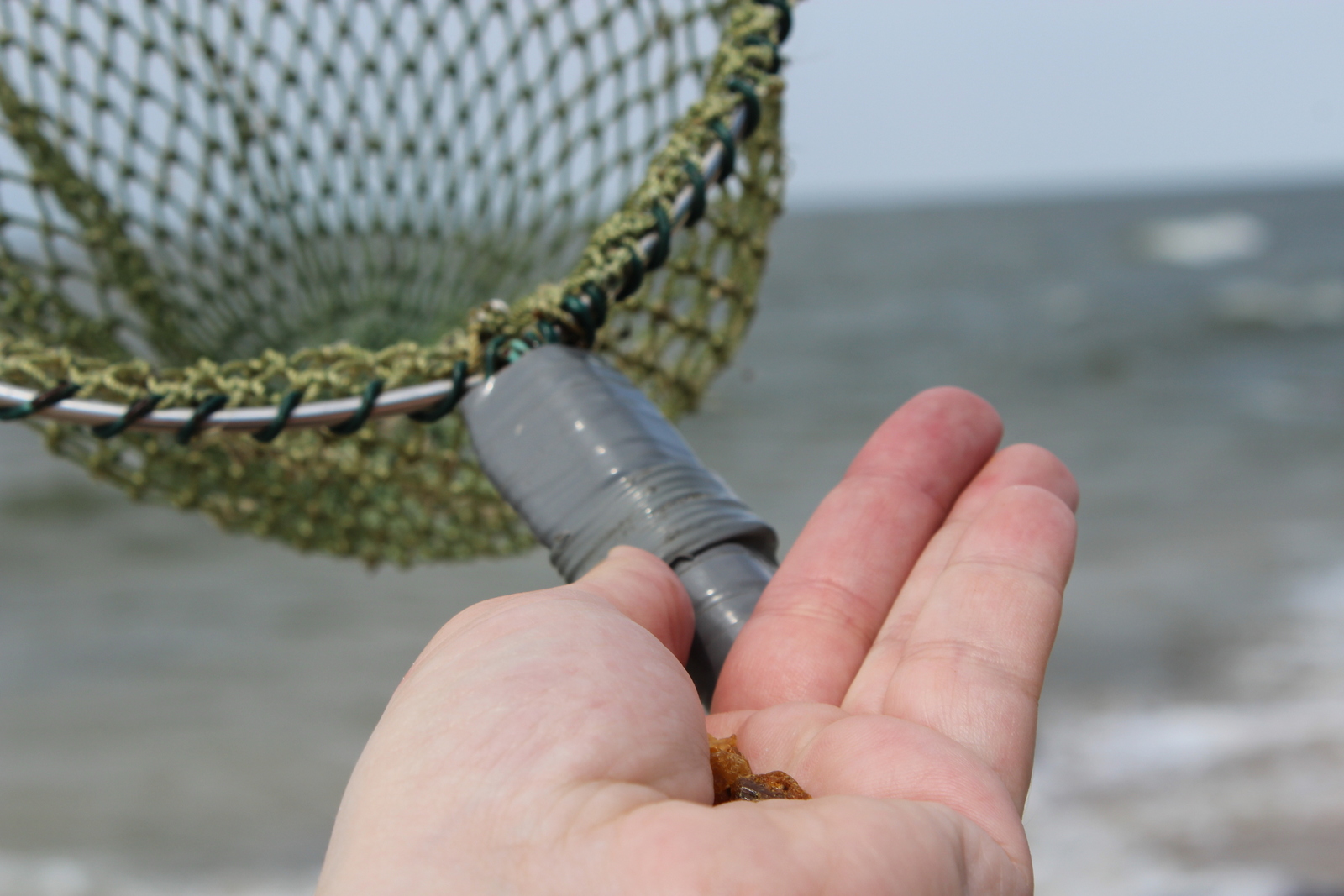 Bernstein fischen leicht gemacht - auf der Jagd nach dem Gold der Ostsee