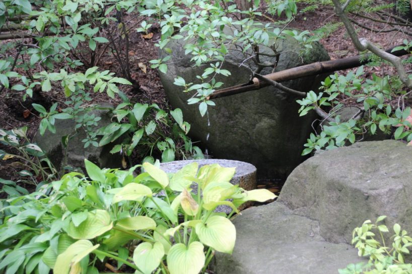 Ein ganz untypischer USA-Ausflugs und Auszeit-Tipp - Der japanische Garten in Rockford