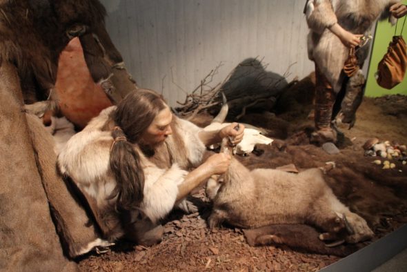 Ein Nachmittag im Neandertal - Eine Zeitreise mit Urzeitviechern und Steinzeitmenschen