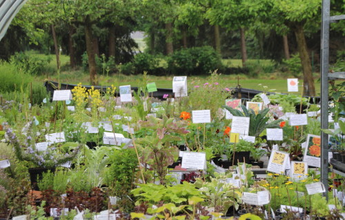 Wie ich eine halbe Kräutergärtnerei vernaschte...