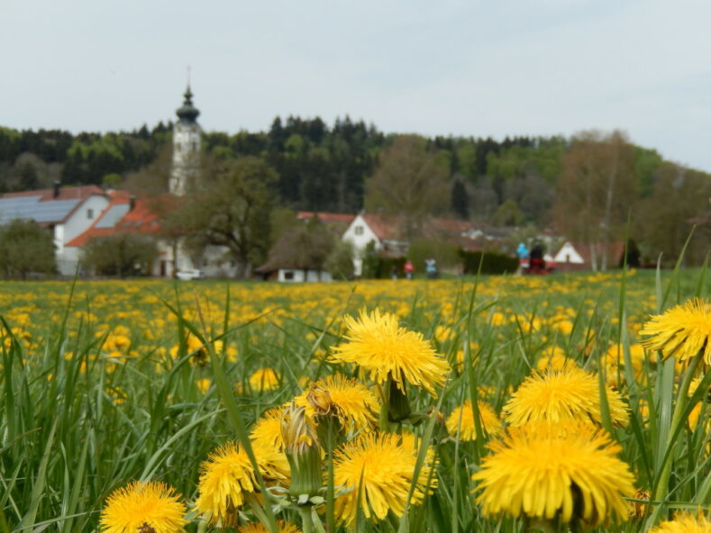 Die Schwäbische Bäderstraße – 4 Gründe für Urlaub mit dem Fahrrad