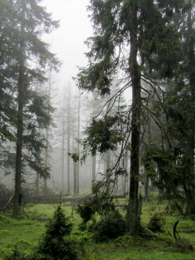 Der Brocken im Harz: 3 Mal oben - immer anders