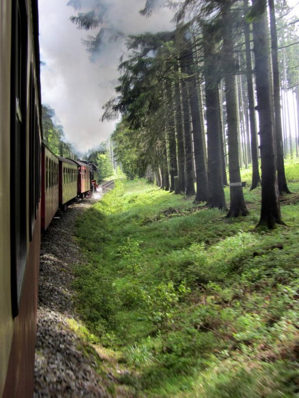 Die Harzer Schmalspurbahnen - Mehr als nur ne Fahrt zum Brocken