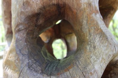 So schön ist der Baumkronenpfad im Nationalpark Hainich