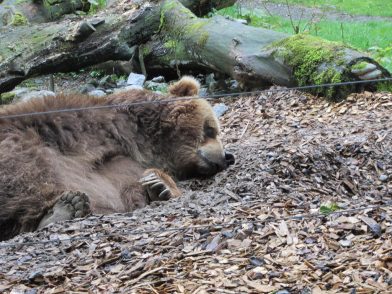 Ein Nachmittag im Wuppertaler Zoo