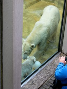 Ein Nachmittag im Wuppertaler Zoo