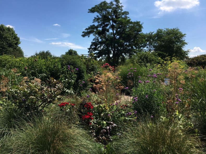 Botanische Garten Mit Gewachshausern In Deutschland Eine Ubersicht