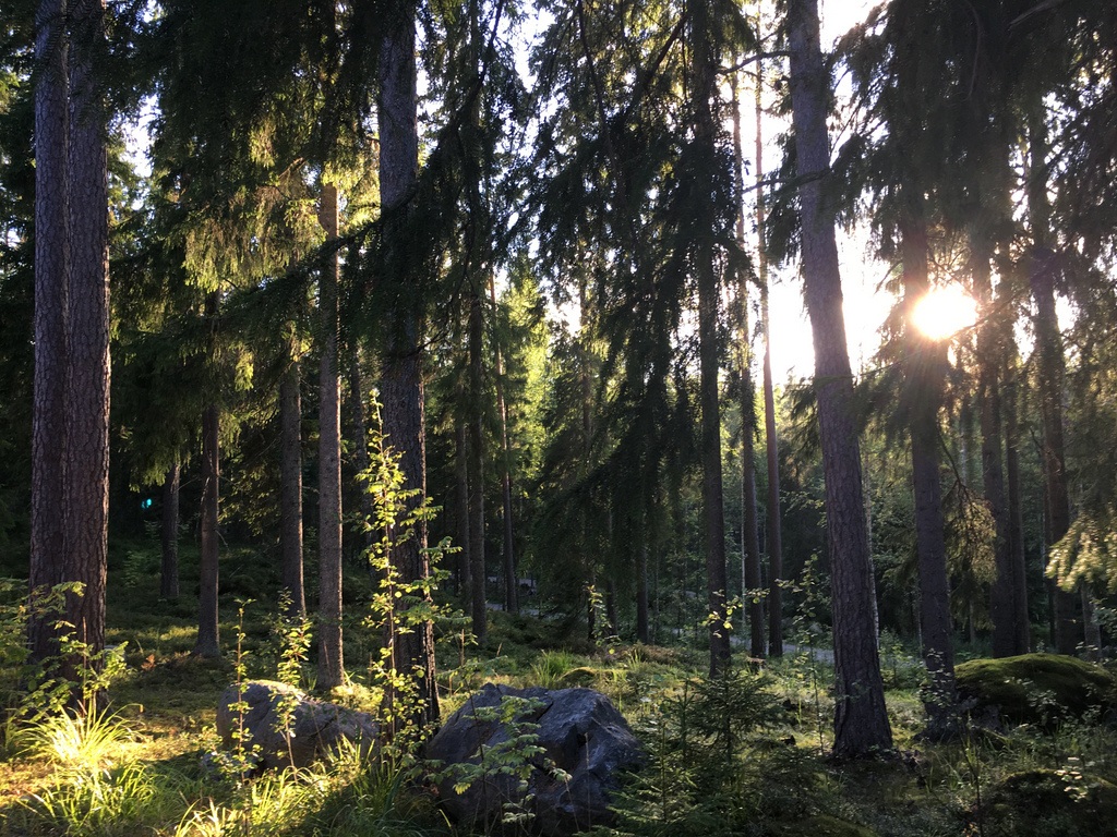 7 Dinge, die du in Finnland gemacht haben solltest