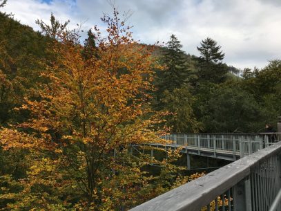 Ein Herbsttag in Bad Harzburg - Von Kastanien, Luchsen und einer Nacht im Aussichtsreich