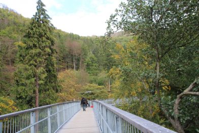 Ein Herbsttag in Bad Harzburg - Von Kastanien, Luchsen und einer Nacht im Aussichtsreich