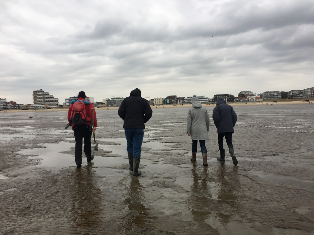 Cuxhaven im März – Von Wind, Wasser und der Sehnsucht nach Ruhe