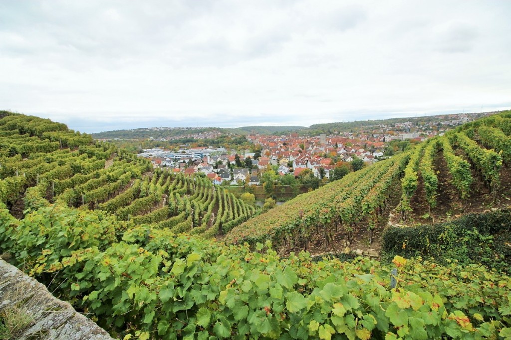 Wo ihr Wein in Europa mal anders genießen könnt!