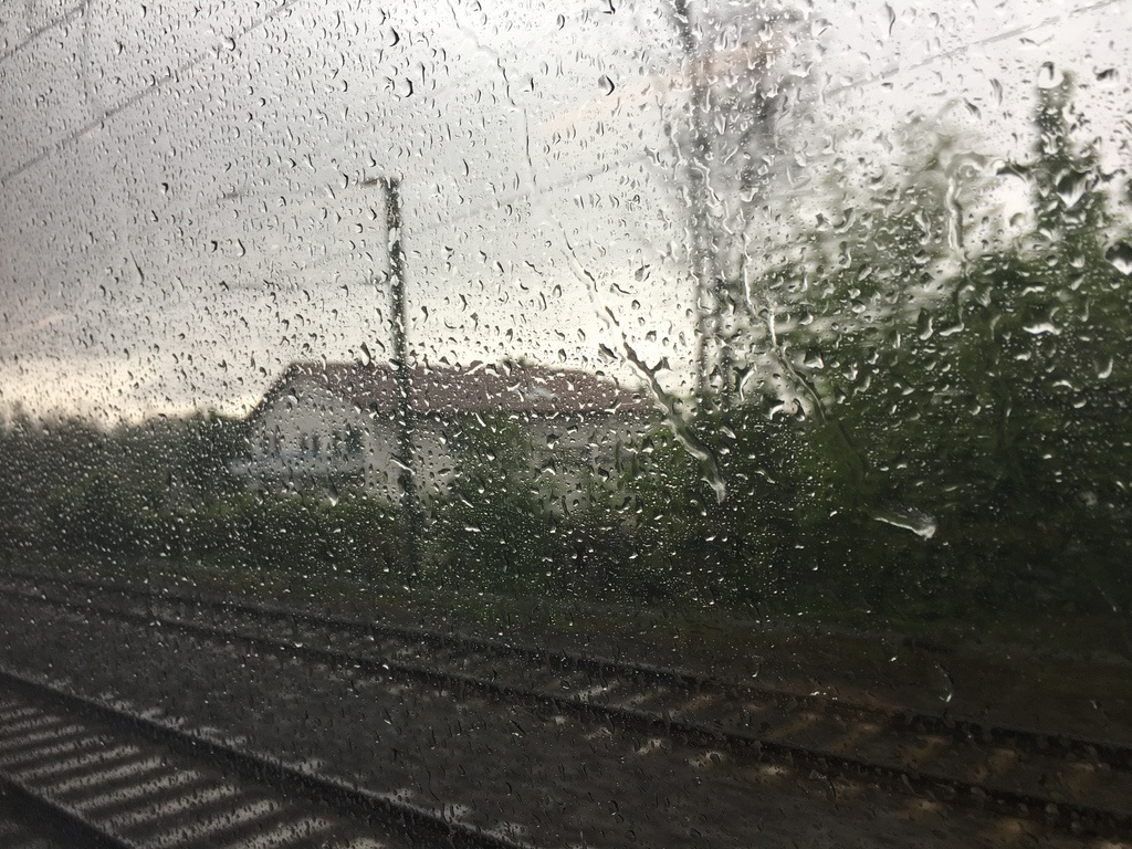 Regen in der Pfalz - Warum ein Kurztrip nach Landau bei jedem Wetter lohnenswert ist