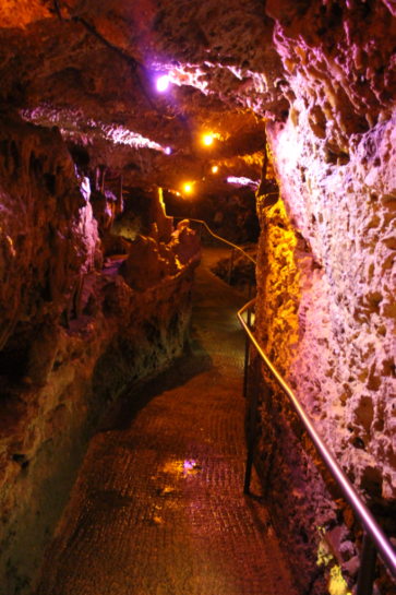 Mallorcas Höhlen - Coves dels Hams