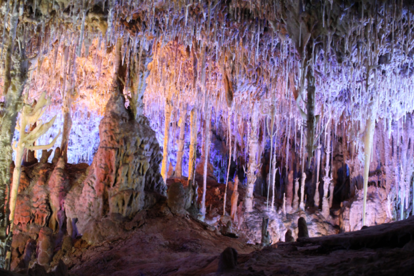 Mallorcas Höhlen - Coves dels Hams