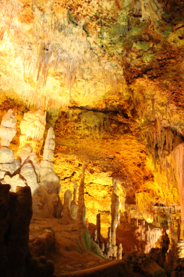 Mallorcas Höhlen - Coves dels Hams