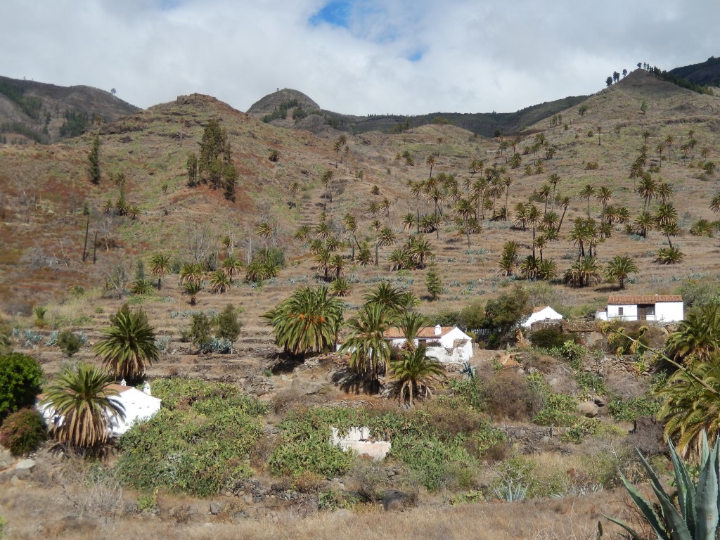 La Gomera - San Sebastian, 1000 Palmen und ein Zauberwald