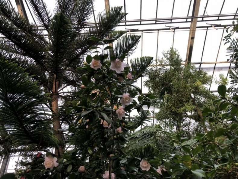 18 Botanische Gärten mit Gewächshäusern in Deutschland