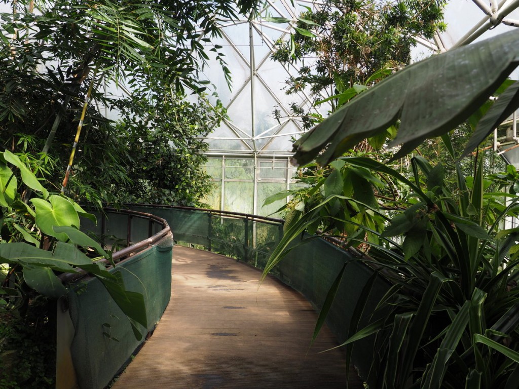 Botanische Gärten mit Gewächshäusern in Deutschland Eine Übersicht