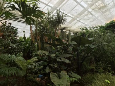 18 Botanische Gärten mit Gewächshäusern in Deutschland