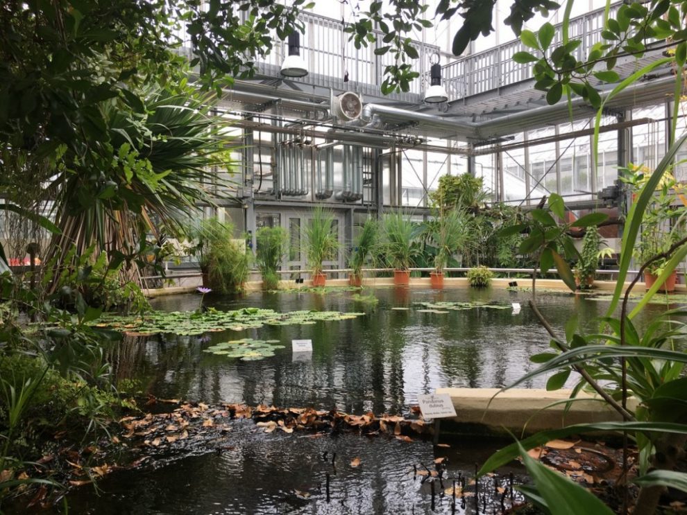Botanische Gärten mit Gewächshäusern in Deutschland Eine Übersicht