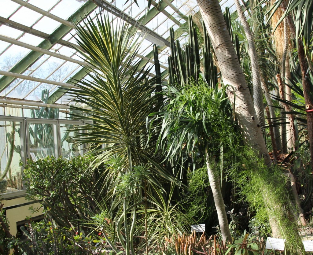 Botanischer Garten Magdeburg Botanischer Garten Jena