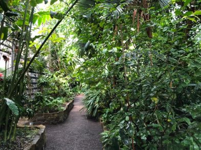 18 Botanische Gärten mit Gewächshäusern in Deutschland