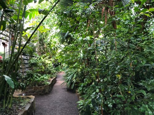 23 schöne Botanische Gärten in Deutschland (mit Gewächshäusern)