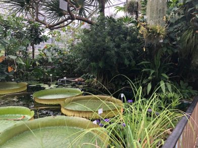 18 Botanische Gärten mit Gewächshäusern in Deutschland