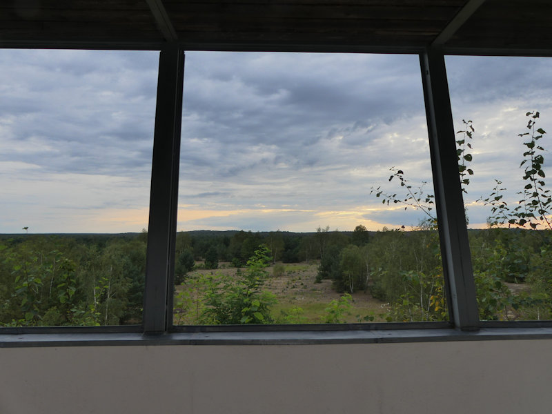 Eine kleine Aussicht im Sukzessionspark Lieberoser Heide