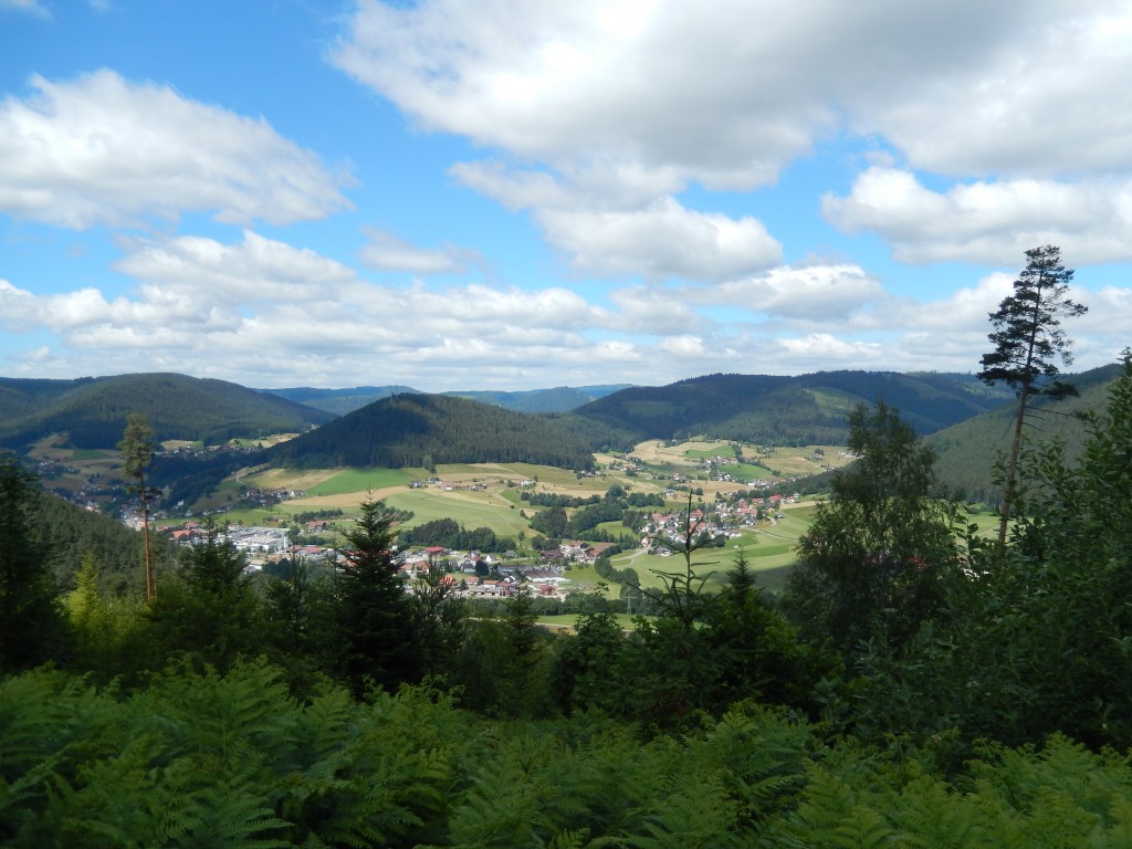 Köstlicher Schwarzwald – dem Wildkräutergenuss auf der Spur in Baiersbronn