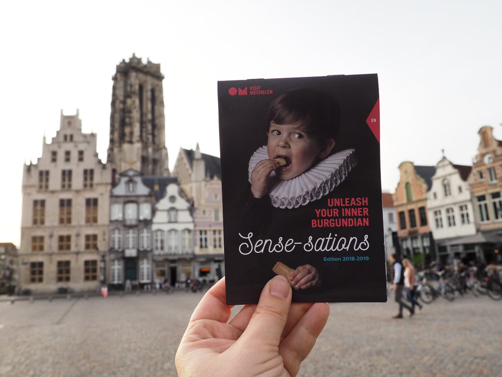 Die Burgunder in Mechelen: Besuch in der ehemaligen Hauptstadt der Niederlande Die Burgunder in Mechelen: Besuch in der ehemaligen Hauptstadt der Niederlande