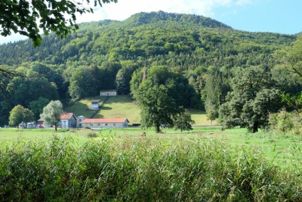 Hopfen, Salz und Kultur - Die Wasserradlwege in Oberbayern