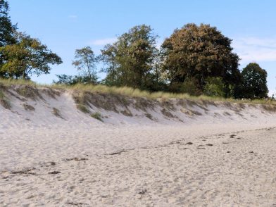 Flitterwochen an der Ostsee: Romantischer Strandspaziergang und Meer