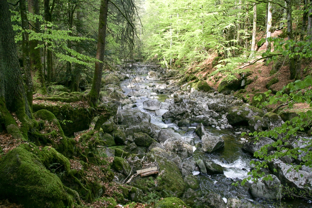 Ein Wochenende im Bayerischen Wald Ein Wochenende im Bayerischen Wald
