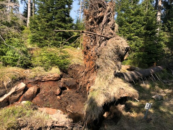 Eine Walpurgisnacht im Südharz: Der Magie im Harz auf der Spur