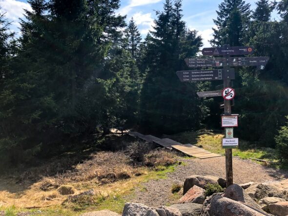Eine Walpurgisnacht im Südharz: Der Magie im Harz auf der Spur