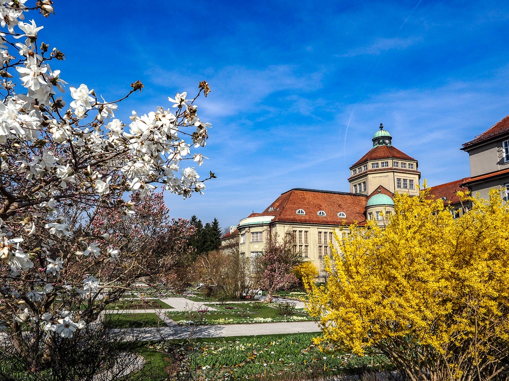 Lohnt Sich Der Munchen City Pass